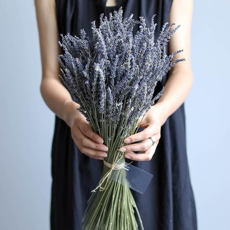 Een bosje gedroogde lavendel is een alternatief voor een bruidsboeket zijn. 